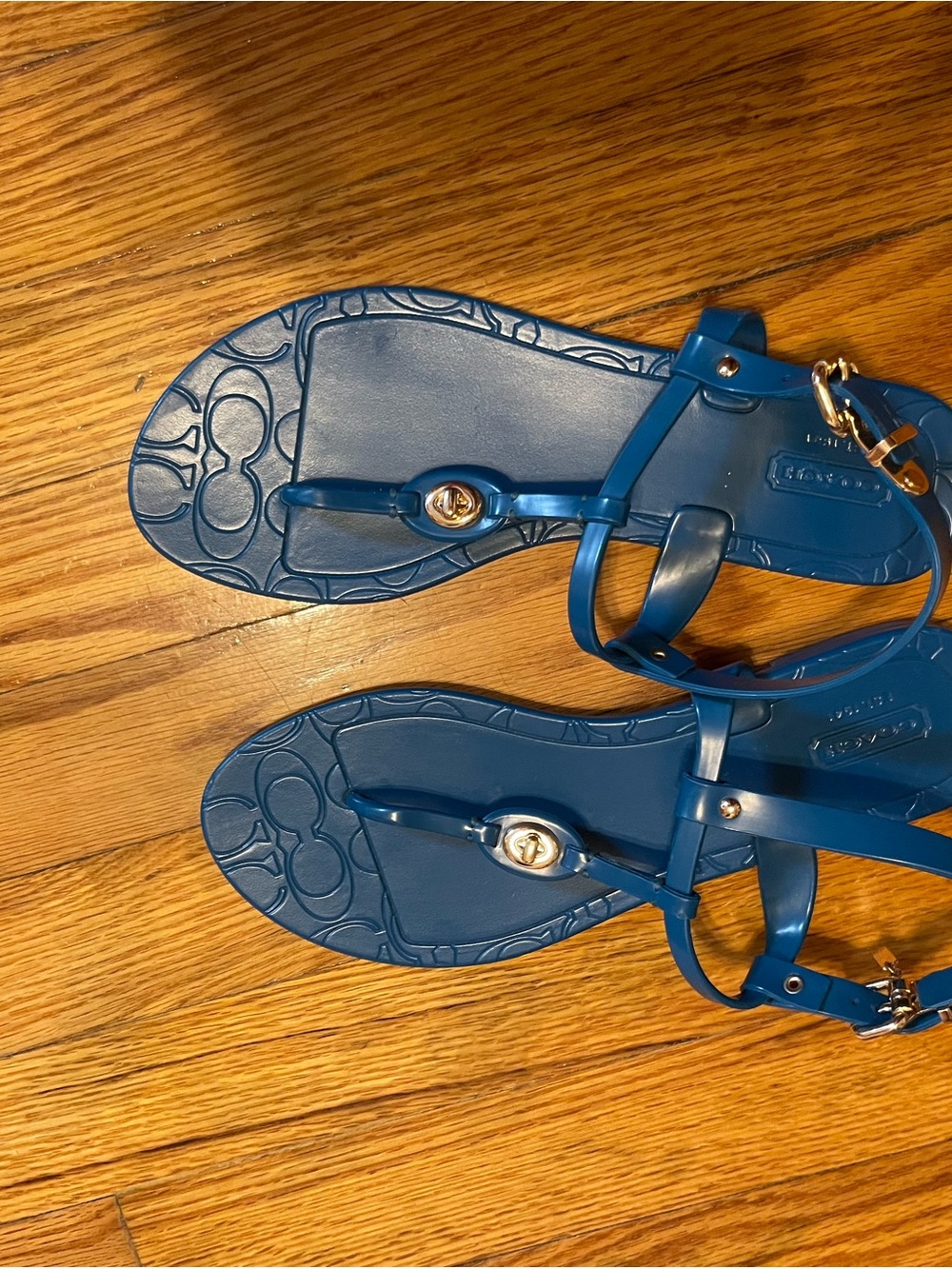 Coach Teal/Blue Jelly T-Strap Sandals with Gold Accent